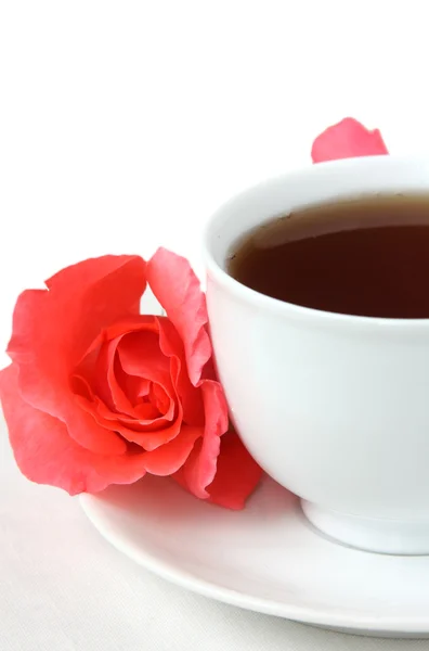 お茶とバラのつぼみのキャップ — ストック写真