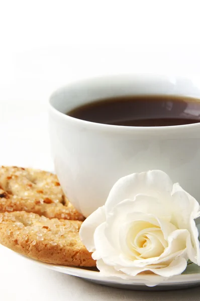Sušenky a šálek čaje — Stock fotografie