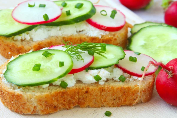 Friss pirítós szendvicsek, retek, az uborka és a lágy sajt — Stock Fotó
