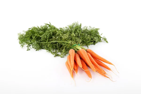 stock image Carrots