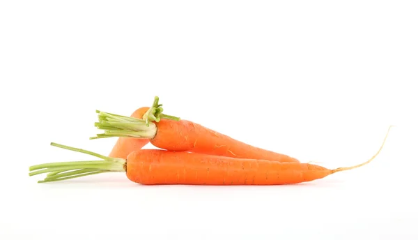 stock image Carrots