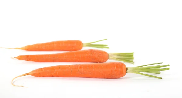 Stock image Carrots