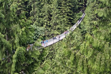 Capilano Suspension Bridge clipart