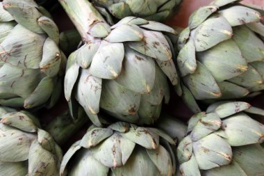 Artichokes clipart