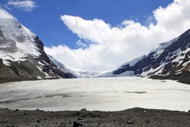 Columbia Icefield clipart