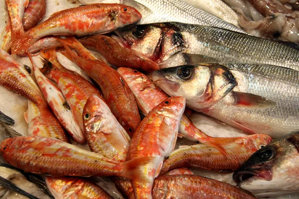 Fresh Fish — Stock Photo, Image