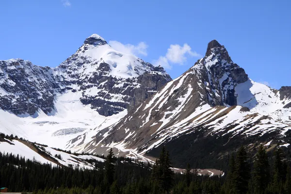 Le mont Athabasca. Montagnes Rocheuses. Canada — Photo