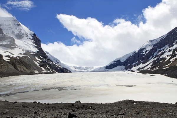 Columbia Icefield