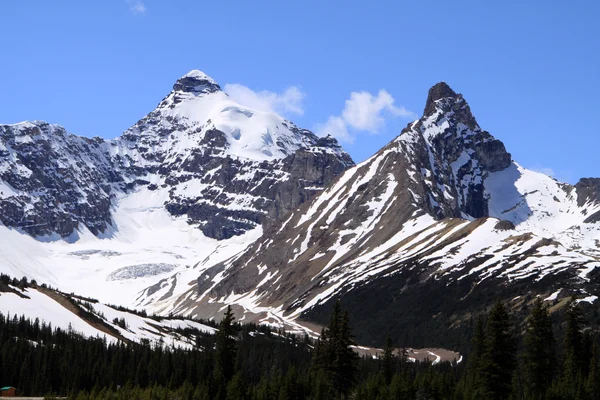 Monte Athabasca. Montanhas Rochosas. Canadá Fotografias De Stock Royalty-Free