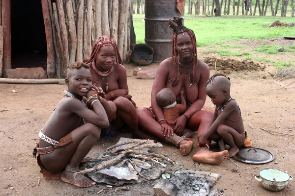 stock image Himbas