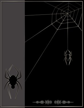 örümcek ve web. siyah arka plan.