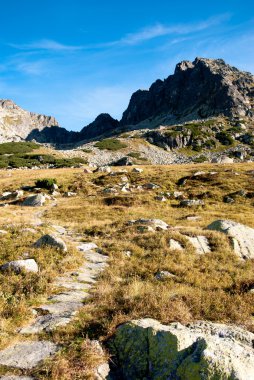 Kozi wierch tepe 5 lakes Valley tatra Dağları