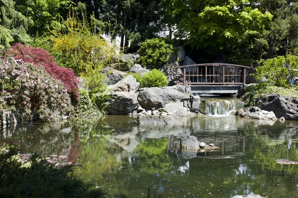 stock image Japanese garden