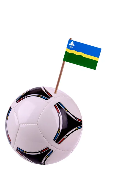 Soccerball eller fotball i Flevoland – stockfoto