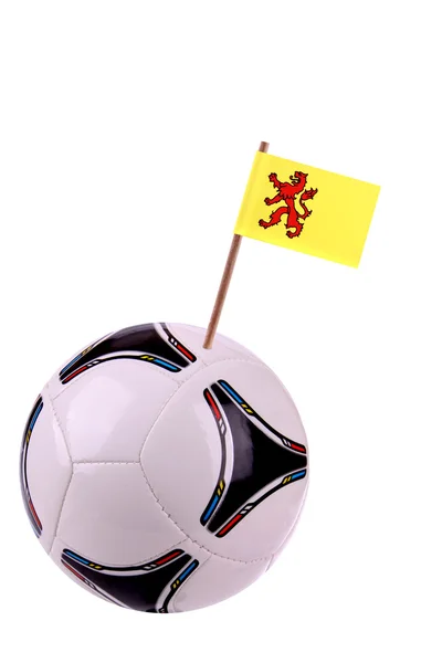Skórzany lub piłki nożnej w zuid holland — Zdjęcie stockowe