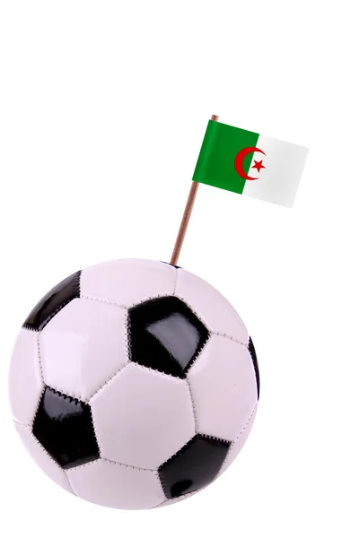 Soccerball nebo fotbalu v Alžírsku — Stock fotografie