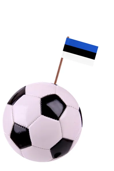 Soccerball nebo fotbalu v Estonsku — Stock fotografie
