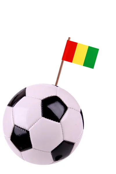 Skórzany lub piłki nożnej Gwinei — Zdjęcie stockowe