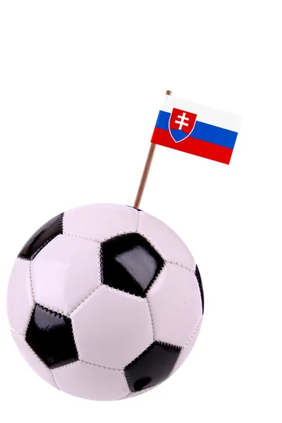 Slovaka サッカーや soccerball — ストック写真