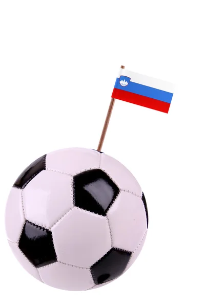 Skórzany lub piłki nożnej w Słowenii — Zdjęcie stockowe