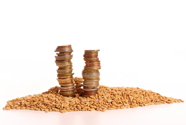 Hög med pengar på skörden majs — Stockfoto