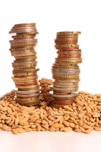 Pile of money on harvesting corn — Stock Photo, Image