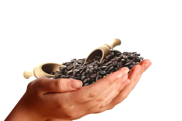 Duas mãos jovens oferecendo grãos de café — Fotografia de Stock