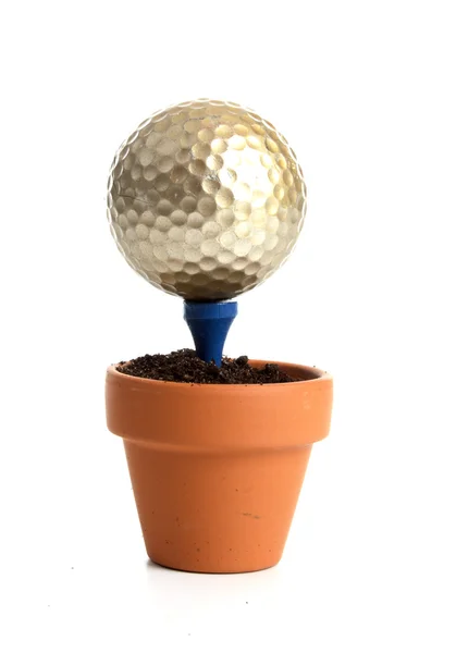 Golfboll på små tee — Stockfoto