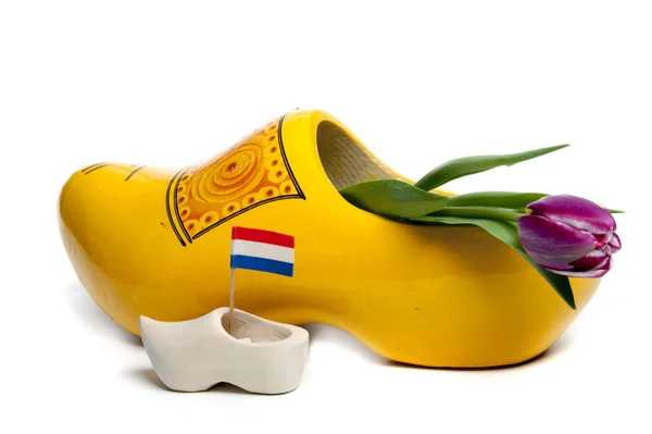 来自荷兰的郁金香 — 图库照片