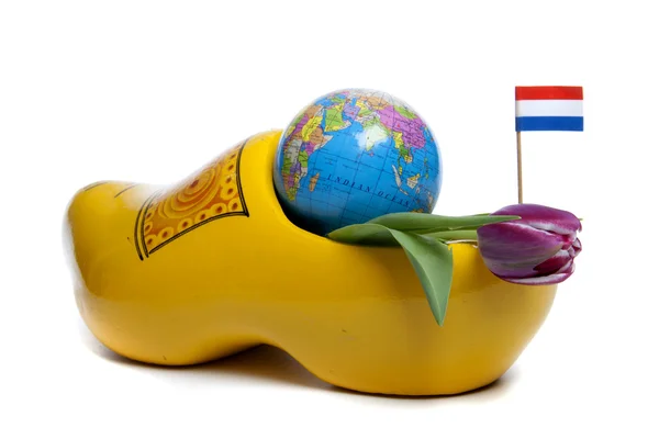 Tulipes de Holland — Photo
