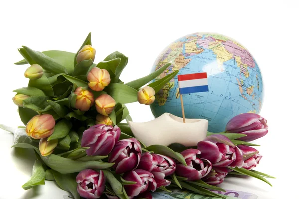 Тюльпаны из Голландии — стоковое фото
