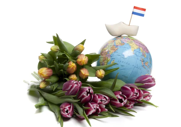 Tulpen aus Holland — Stockfoto