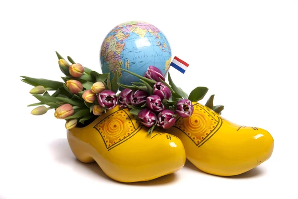 Tulipani dall'Olanda — Foto Stock