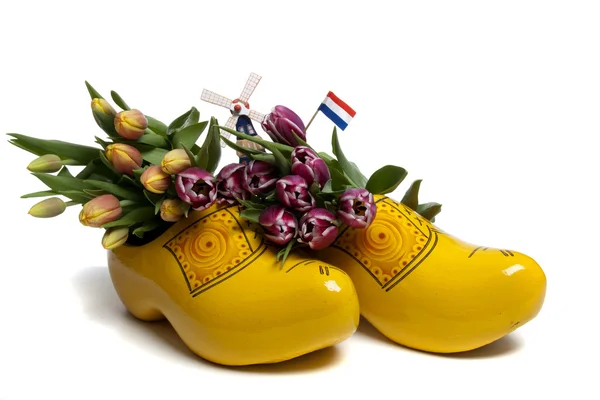 Tulipanes de Holanda — Foto de Stock