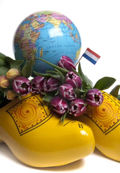 Tulpaner från holland — Stockfoto
