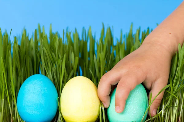 Hon na velikonoční vajíčka — Stock fotografie