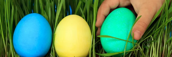 Caza de huevos de Pascua — Foto de Stock