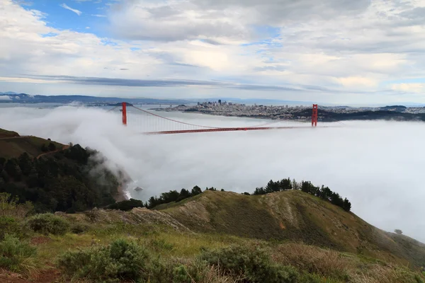 雾中的金门大桥 — 图库照片