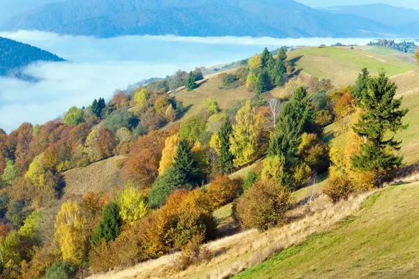 Осенний горный лес — стоковое фото