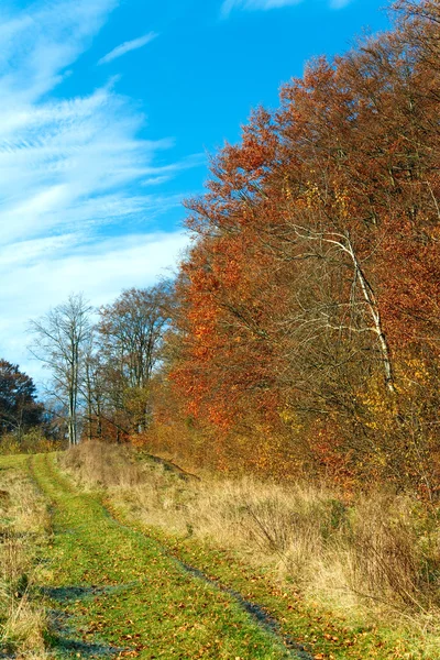 Höstens landsväg — Stockfoto