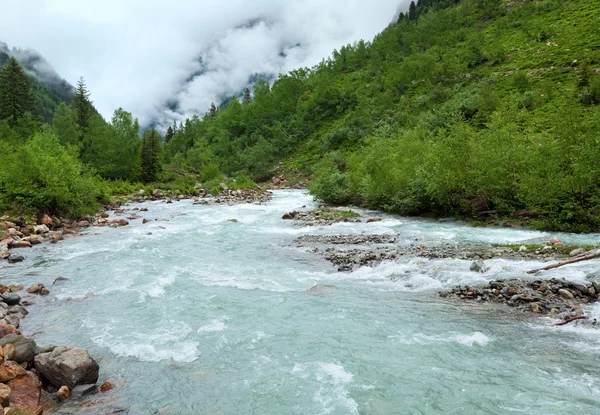 阿尔卑斯山河流夏季视图 — 图库照片