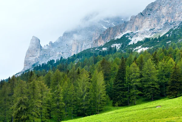 Dolomiterna sommaren bergsutsikt — Stockfoto