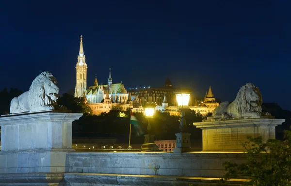Budapest Chain Bridge night view — Stock Photo, Image