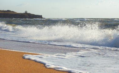 Deniz surf dalgası