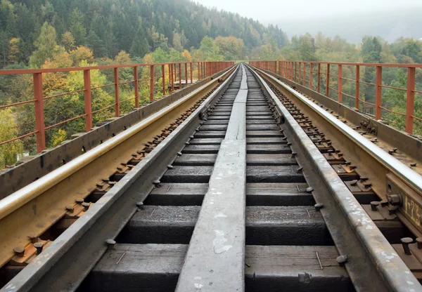 Railway on bridge across mountain river — Stock Photo, Image