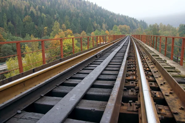 Ferrovia na ponte através do rio da montanha — Fotografia de Stock
