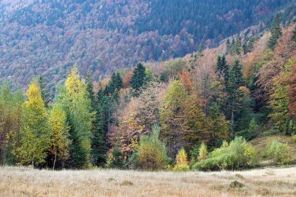 Jesienią widok na góry z — Zdjęcie stockowe
