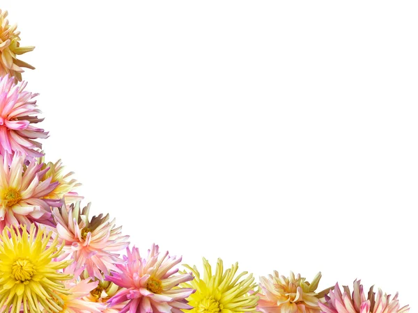 Marco de flores —  Fotos de Stock