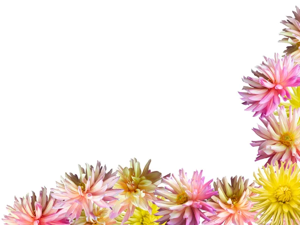 Blumen umrahmen — Stockfoto