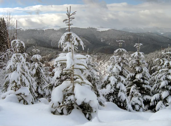 Winter landscape (6) — Stock Photo, Image